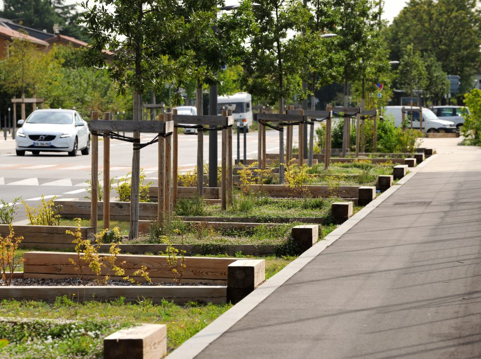 Requalification de l&rsquo;avenue des Tilleuls